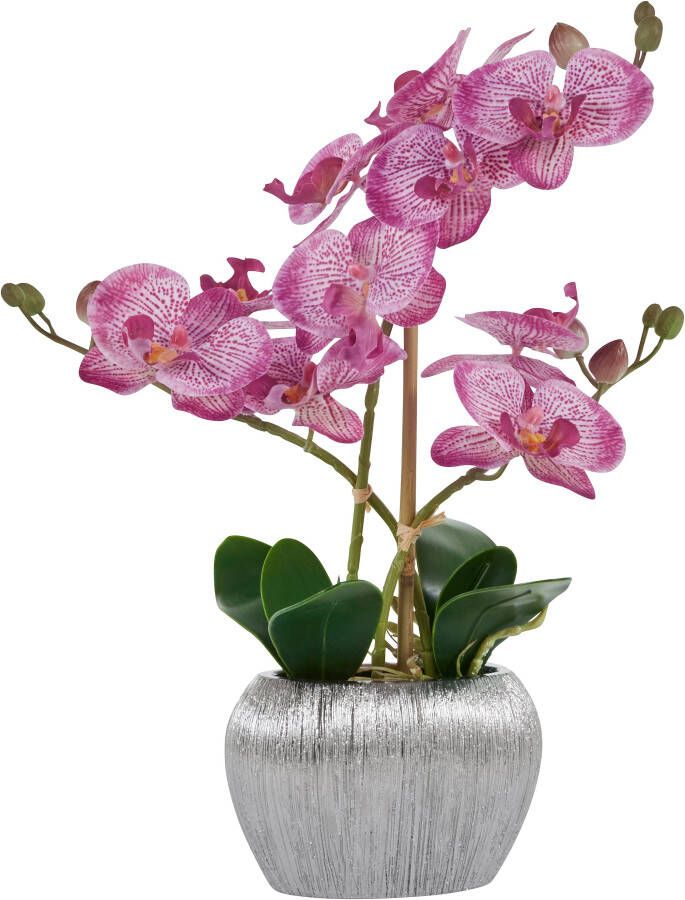 Home affaire Kunstplant Orchidee Kunstorchidee in een pot (1 stuk)