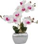 Home affaire Kunstplant Orchidee Kunstorchidee in een pot (1 stuk) - Thumbnail 1