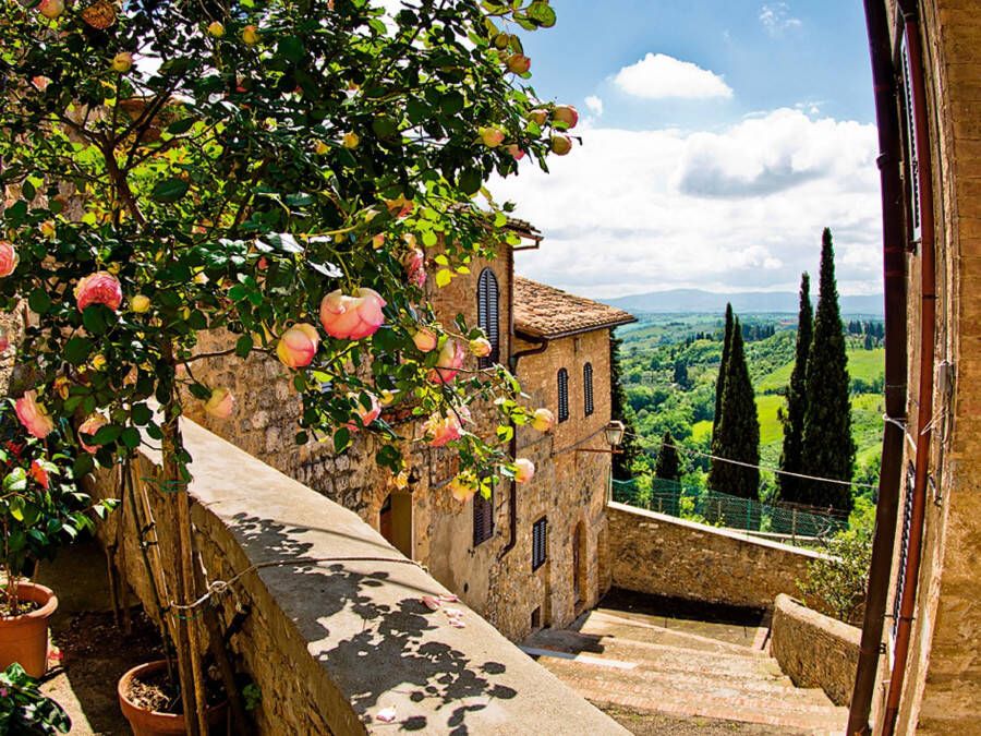 Home affaire Print op glas Banepetkovic: rozen in San Gimignano met Toscaans landschap