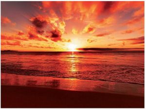Home affaire Print op glas Beautiful tropical sunset on the beach 80 60 cm
