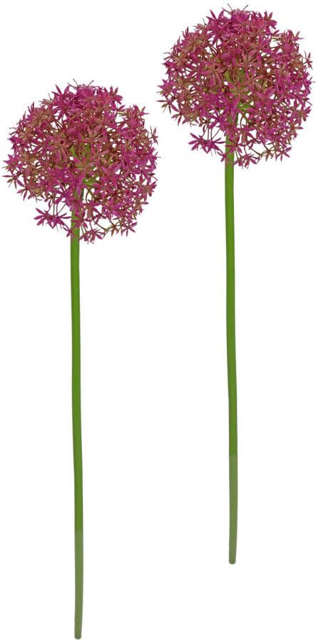 I.GE.A. Kunstbloem Allium sierlook Stelenbloem kunstbloemen(2 stuks)