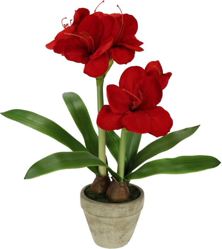 I.GE.A. Kunstbloem Amaryllis in pot 50cm bloem kerstbloem kerstdecoratie winterbloem floristik (1 stuk)