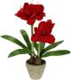 I.GE.A. Kunstbloem Amaryllis in pot 50cm bloem kerstbloem kerstdecoratie winterbloem floristik (1 stuk) - Thumbnail 1