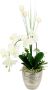 I.GE.A. Kunstbloem Arrangement orchidee gras (1 stuk) - Thumbnail 1
