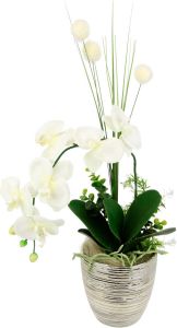 I.GE.A. Kunstbloem Arrangement orchidee gras Pot van keramiek (1 stuk)