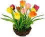 I.GE.A. Kunstbloem Arrangement tulp - Thumbnail 1