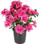 I.GE.A. Kunstbloem azalea in pot Bloem kunstplant bloemdecoratie tafeldecoratie kamerplant (1 stuk) - Thumbnail 1