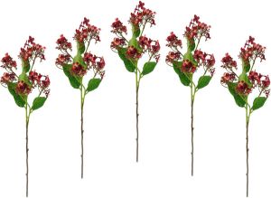 I.GE.A. Kunstbloem Bloementak set van 5 kunsttak kunstplant deco-tak (5 stuks)