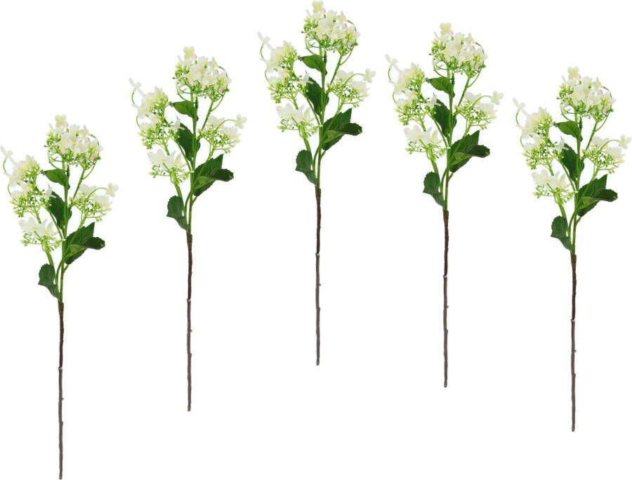 I.GE.A. Kunstbloem Bloementak set van 5 kunsttak kunstplant deco-tak (5 stuks)