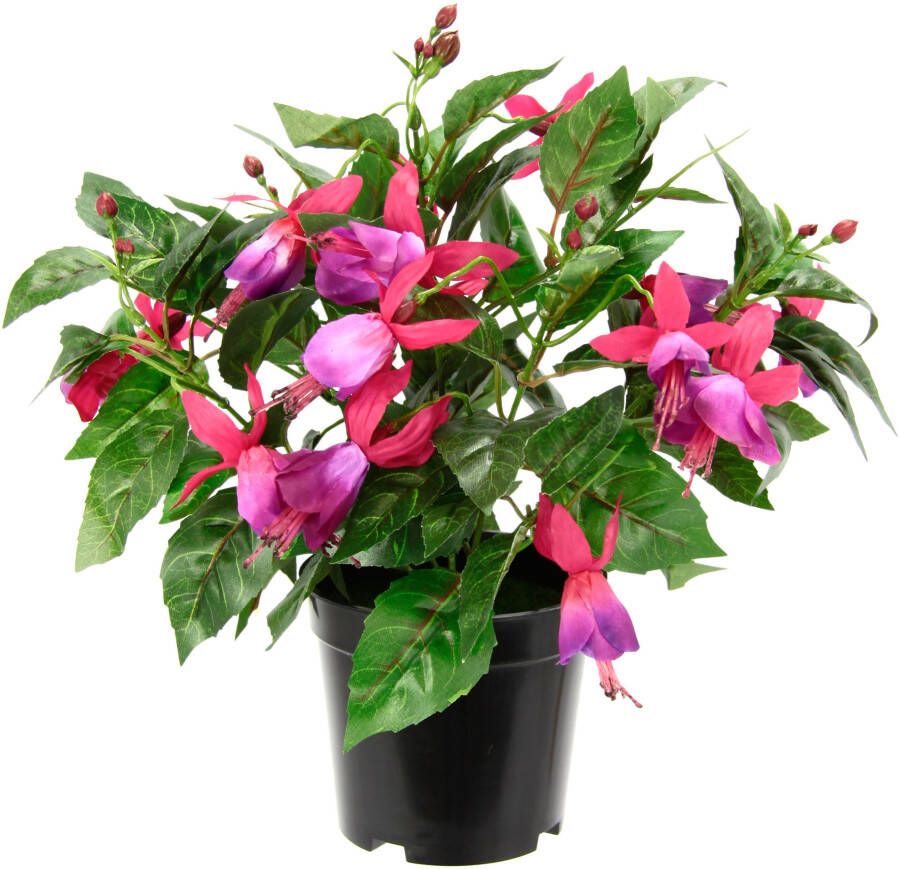 I.GE.A. Kunstbloem Fuchsia s