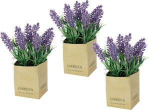 I.GE.A. Kunstbloem in de pot (set)