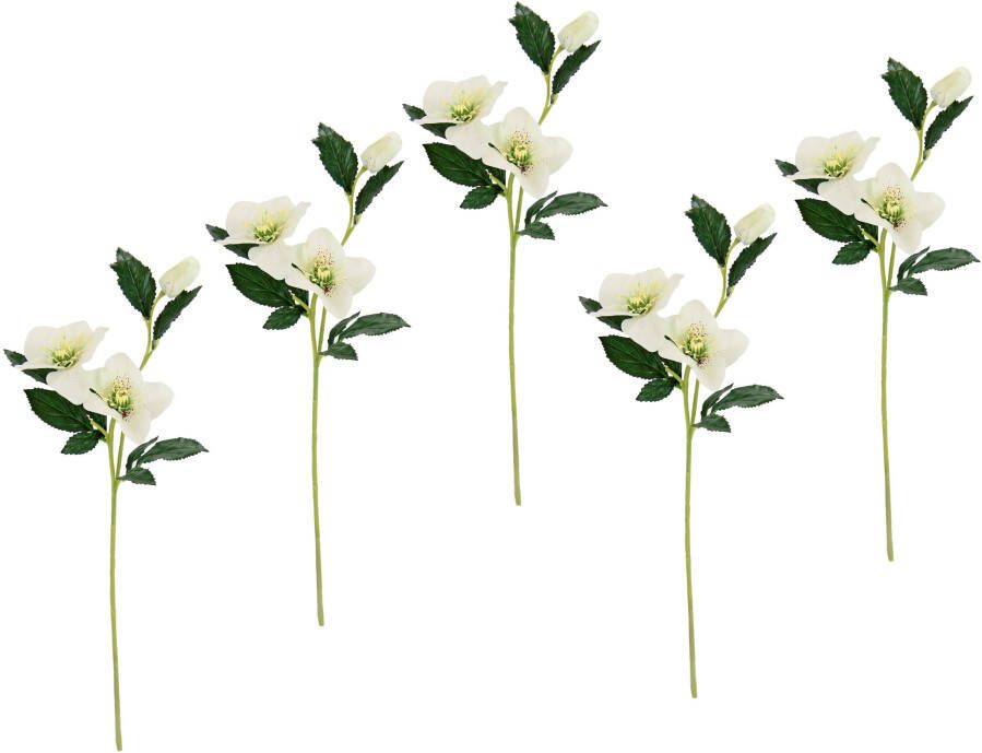I.GE.A. Kunstbloem Kerstroos Kunstmatige zijden bloemen 5-delige set (5 stuks)