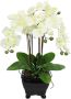 I.GE.A. Kunstbloem Künstliche Orchidee in Schale Phalaenopsis Kunstblume Blume (1 stuk) - Thumbnail 1