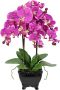 I.GE.A. Kunstbloem Kunstmatige orchidee in schaal phalaenopsis kunstbloem (1 stuk) - Thumbnail 1