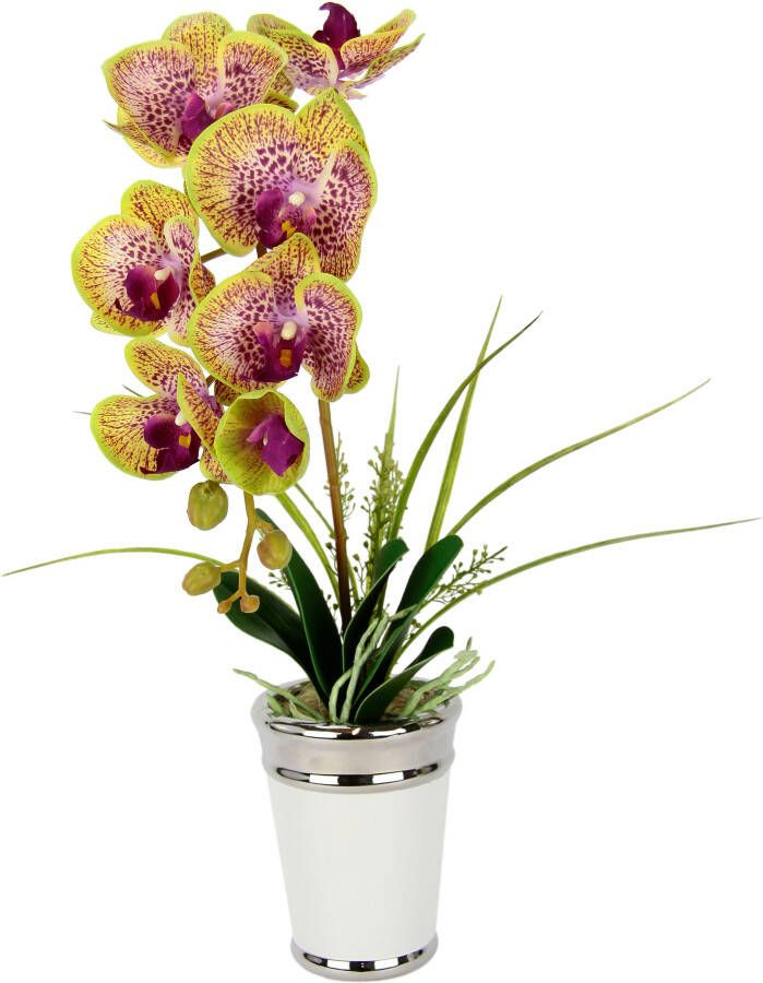 I.GE.A. Kunstbloem Orchidee