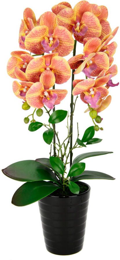 I.GE.A. Kunstbloem Orchidee In pot phalaenopsis orchidee phalaenopsis met bloempot bruiloft