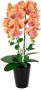 I.GE.A. Kunstbloem Orchidee In pot phalaenopsis orchidee phalaenopsis met bloempot bruiloft - Thumbnail 1