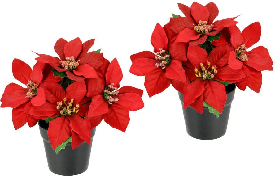 I.GE.A. Kunstbloem Poinsettia in pot set van 2 kunstmatige bloem kerstster kerstdecoratie (2 stuks)