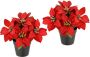 I.GE.A. Kunstbloem Poinsettia in pot set van 2 kunstmatige bloem kerstster kerstdecoratie (2 stuks) - Thumbnail 1