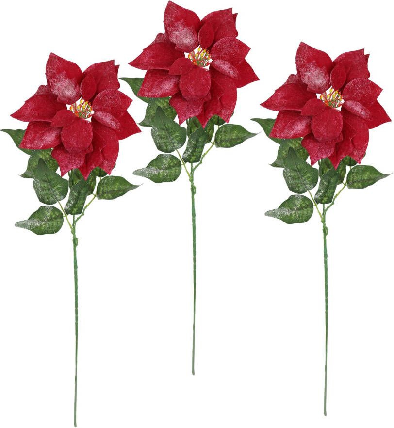 I.GE.A. Kunstbloem Poinsettia kerstster 3-delige set 70cm bloem kerstster kerstdecoratie adventster (3 stuks)