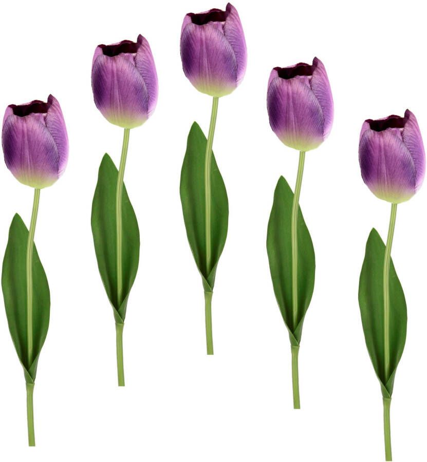 I.GE.A. Kunstbloem Real Touch Tulpen set van 5 kunst-tulpenknoppen kunstbloemen snijbloem (5 stuks)