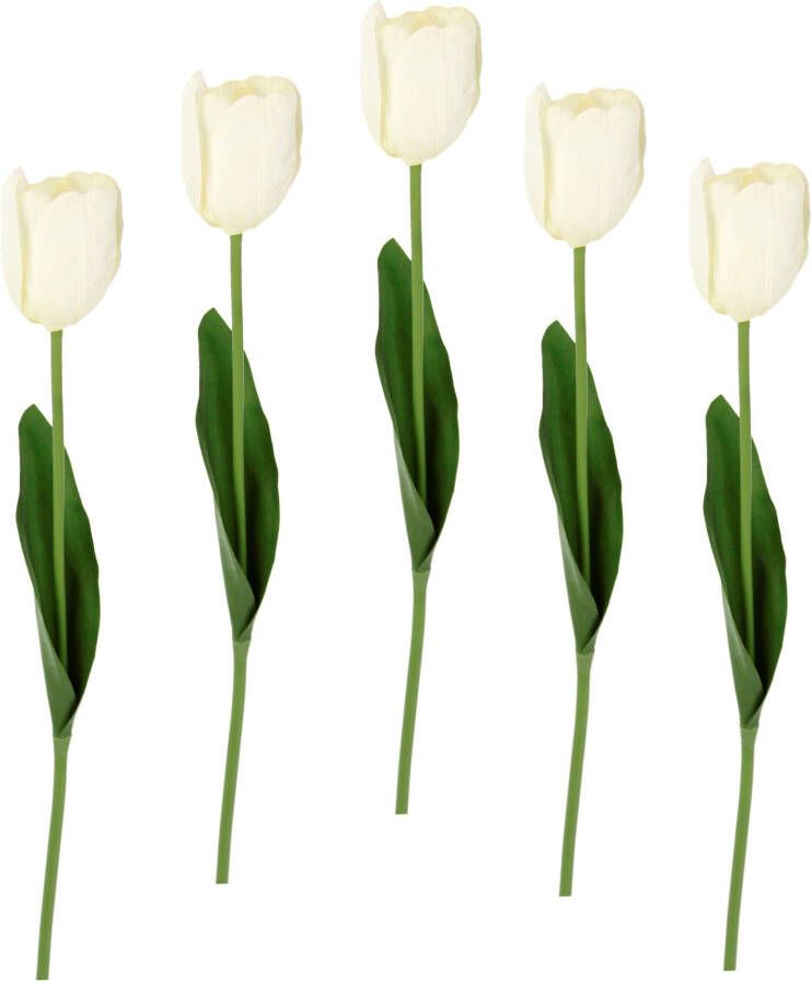 I.GE.A. Kunstbloem Real Touch Tulpen set van 5 kunst-tulpenknoppen kunstbloemen snijbloem (5 stuks)