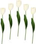 I.GE.A. Kunstbloem Real Touch Tulpen set van 5 kunst-tulpenknoppen kunstbloemen snijbloem (5 stuks) - Thumbnail 1