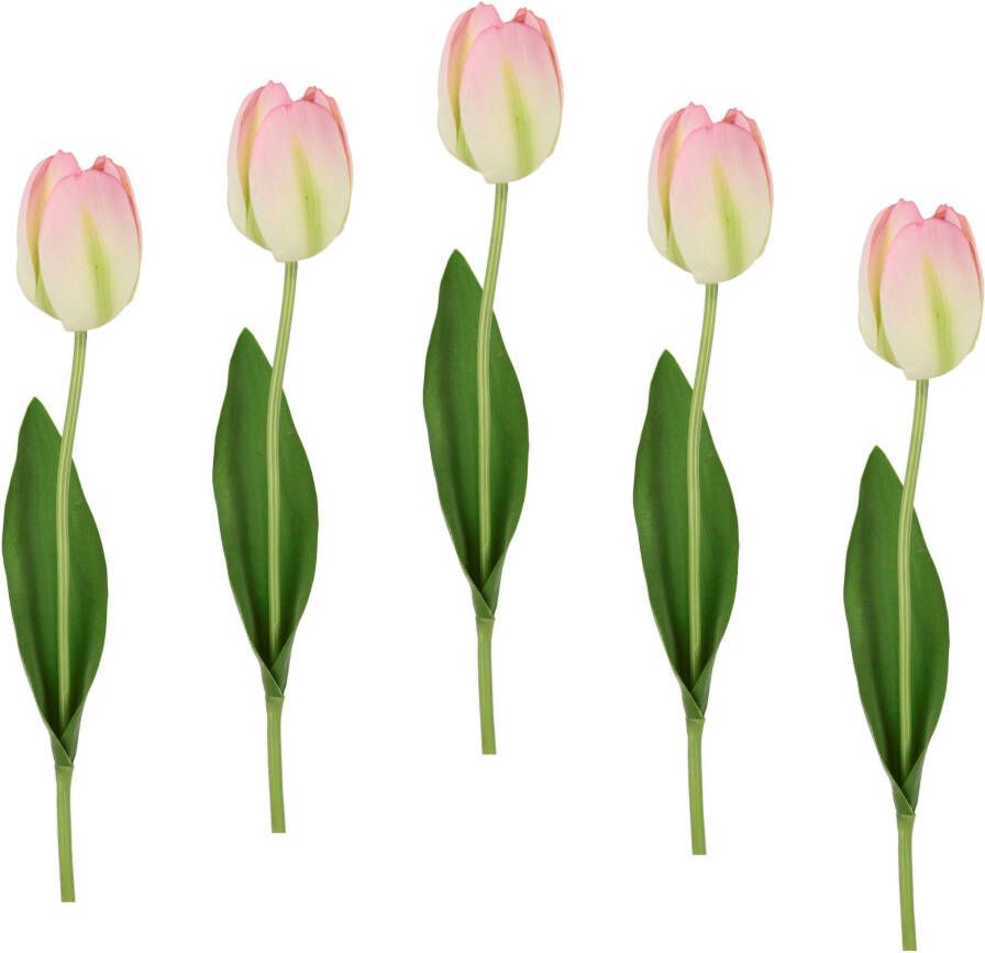 I.GE.A. Kunstbloem Real Touch Tulpen set van 5 kunst-tulpenknoppen kunstbloemen snijbloem (5 stuks)