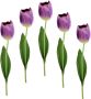 I.GE.A. Kunstbloem Real Touch Tulpen set van 5 kunst-tulpenknoppen kunstbloemen snijbloem (5 stuks) - Thumbnail 1