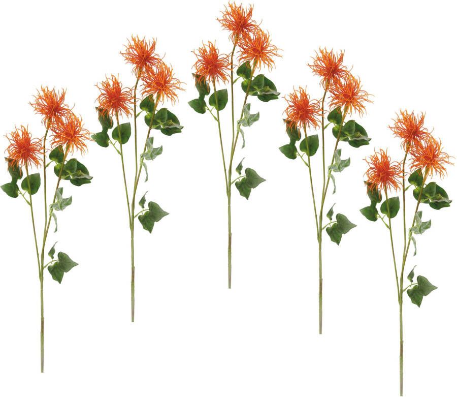 I.GE.A. Kunstbloem Spider protea (5 stuks)
