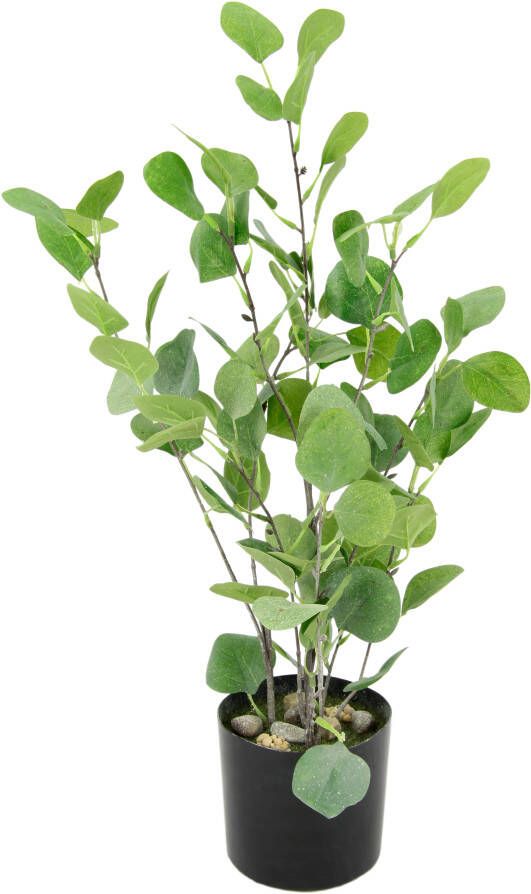 I.GE.A. Kunstboom Eukalyptus im Topf künstlich Eukalyptusbaum Pflanze Dekobaum (1 stuk)