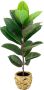 I.GE.A. Kunstboom Rubberboom Met overpot Ficus Elastica - Thumbnail 1