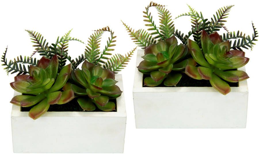 I.GE.A. Kunstcactus Vetplanten in een houten pot(2 stuks)