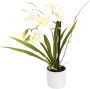 I.GE.A. Kunstorchidee Orchidee in een keramische pot (1 stuk) - Thumbnail 1