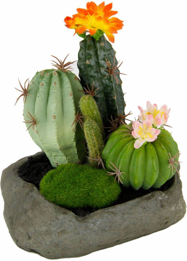 I.GE.A. Kunstplant Cactussen (1 stuk)
