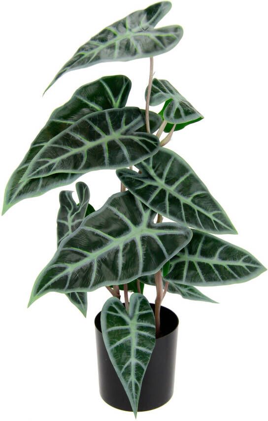 I.GE.A. Kunstplant Calathea Kunstplant zijden bloemen kamerplant Zebrina Alocasia Sanderiana (1 stuk)