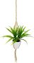 I.GE.A. Kunstplant Dracena in hangend verkeerslicht (1 stuk) - Thumbnail 1