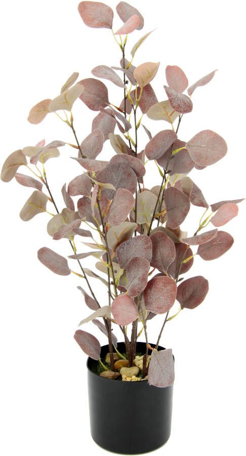 I.GE.A. Kunstplant Eucalyptus In een pot met natuursteentjes