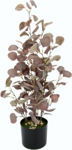 I.GE.A. Kunstplant Eucalyptusplant in een plastic pot (1 stuk)