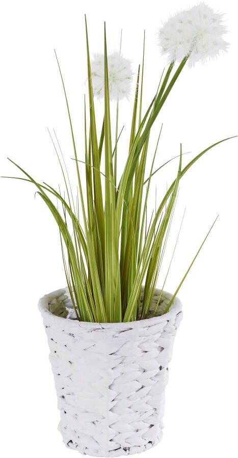 I.GE.A. Kunstplant Gras met pluizenbollen in pot van waterhyacint (1 stuk)