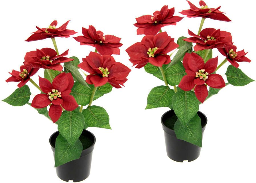 I.GE.A. Kunstplant Kerstster in een pot set van 2