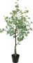 I.GE.A. Kunstplant Kunstboom eucalyptus in pot plant decoratie struik (1 stuk) - Thumbnail 1