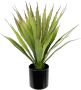 I.GE.A. Kunstplant Künstliche Agave Aloe Vera im Topf Kunstpflanze (1 stuk) - Thumbnail 1