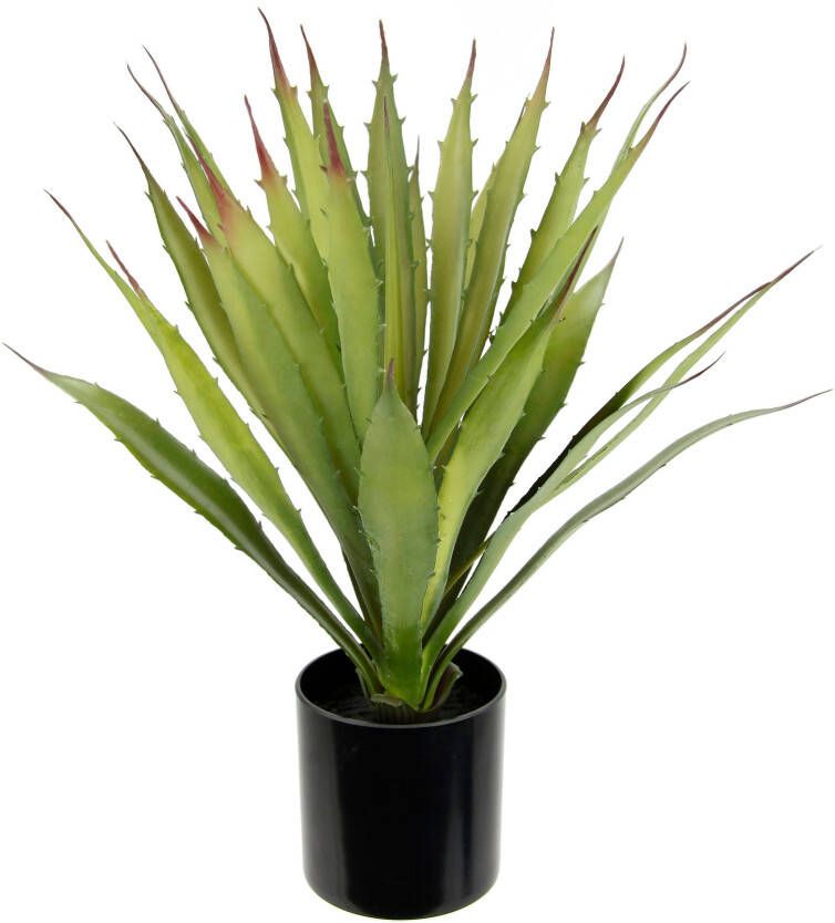 I.GE.A. Kunstplant Kunstmatige agave aloe vera in pot kunstplant (1 stuk)