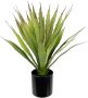 I.GE.A. Kunstplant Kunstmatige agave aloe vera in pot kunstplant (1 stuk) - Thumbnail 1