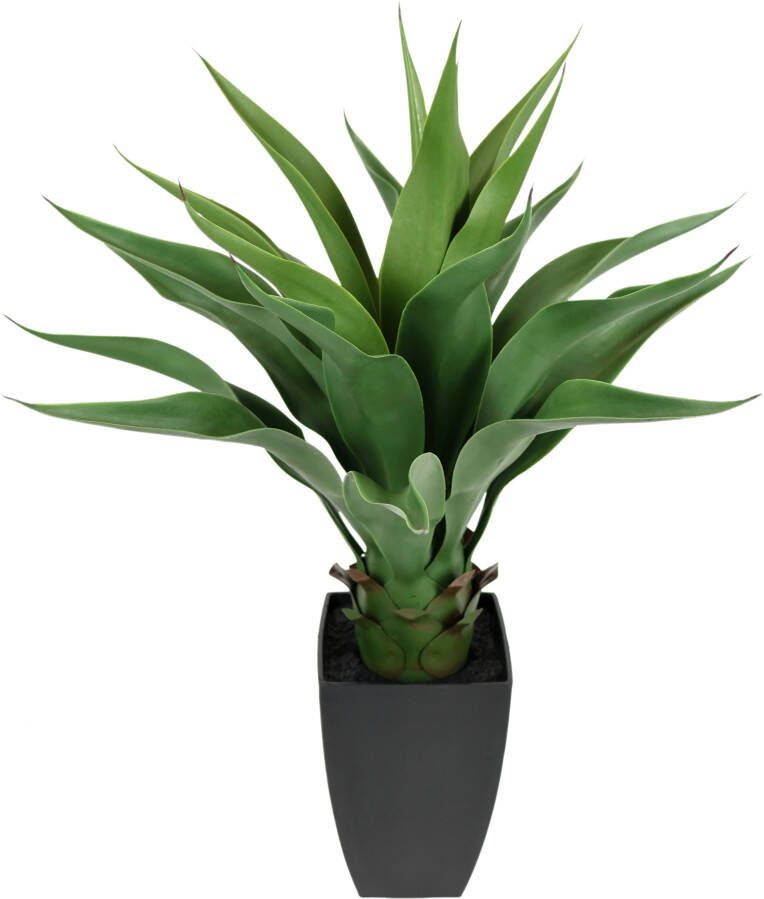 I.GE.A. Kunstplant Kunstmatige Agave in pot plant Aloë Vera Sansevieria (1 stuk)