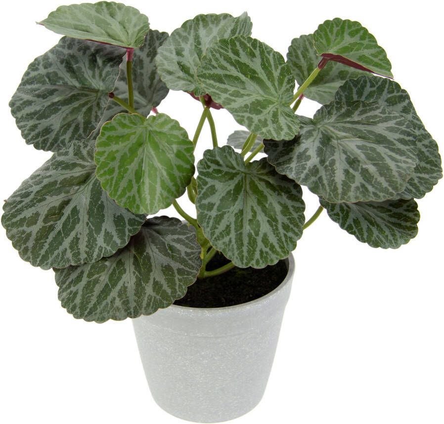 I.GE.A. Kunstplant Kunstmatige plant begonia in pot begonia struik bladplant (1 stuk)