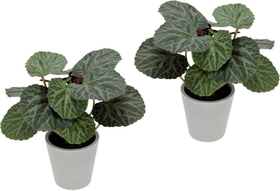 I.GE.A. Kunstplant Kunstmatige plant begonia in pot begonia struik bladplant (2 stuks)