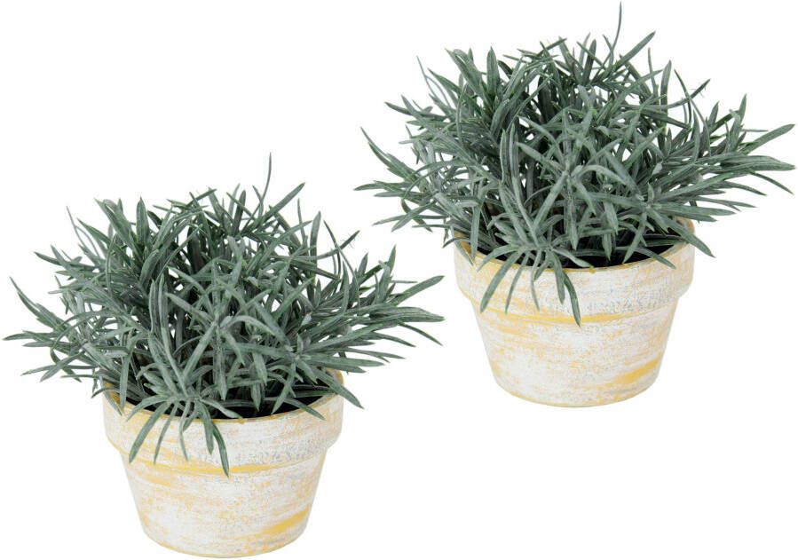 I.GE.A. Kunstplant Kunstmatige podocarpus in pot 2-pack (2 stuks)