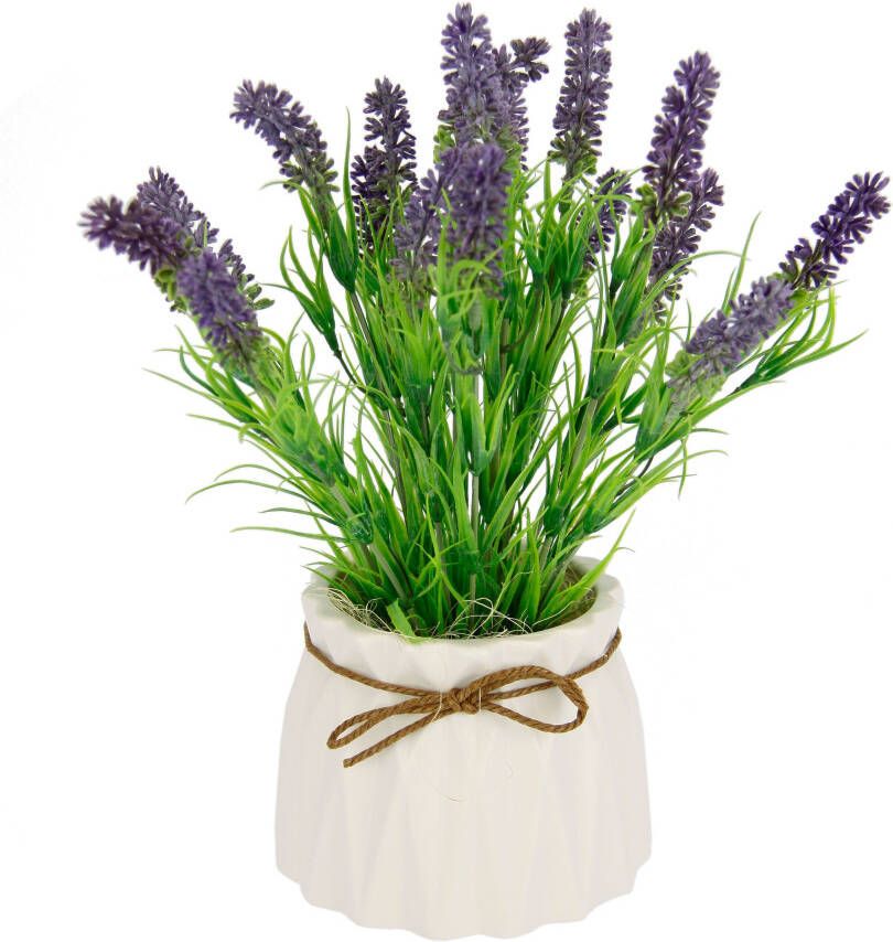 I.GE.A. Kunstplant Lavendel In een keramische pot